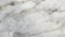 White marble wall texture close up for web design and backgrounds