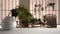 White mat table shelf with round marble vase and potted bonsai, green leaves, over modern conservatory, winter garden, lounge