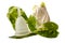 White menstrual cup with green leaves and little beige bag isolated in white background.