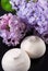 White meringues with lilac