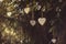 White metal and wooden hearts hanging in nature, celebration love