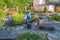 White middle aged  woman and her dog cleans a garden pond from slime and water plants.