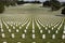 White Military Tombstones