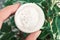 White mineral powder in a female hand on a background of natural plants