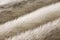 White mink fur texture