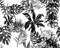 White Monstera Texture. Black Watercolor Texture. Banana Leaf Backdrop. Seamless Wallpaper. Pattern Garden. Tropical Wallpaper. Vi