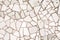 White mosaic tiles