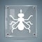 White Mosquito icon isolated on grey background. Square glass panels. Vector