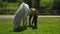 White mother horse and brown foal chew grass on a farm field. Ponies graze freely on the field in the summer and tear