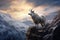 White mountain goat on the background of snowy mountains