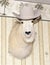 White Mountain Goat head wearing a cowboy hat