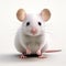 White Mouse On Clean Background: Realistic And Imaginative 3d Render