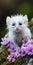 White Mouse Sitting In Moss On Purple Flowers - Stunning Catcore Nature Photography