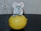 White mouse on a yellow lemon. According to the Eastern calendar, 2020 is the year of the white rat.