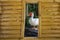 White muscovy ducks stand on stumps in bamboo frames.