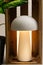 White mushroom shape mock-up no brand lamp with cosy lighing arranged with wooden box and green plants. lamp with cosy lighing