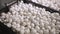 White mushrooms in a plastic basket in a bunch. Mushroom farm. Cultivation of champignon mushrooms. Raw food and