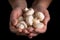 White mushrooms in woman hands on black background
