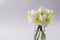 White narcissus in a glass vase. Spring Flower