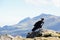 White-necked raven in Simien mountains