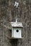 White nesting box on an old tree