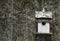 White nesting box on an old tree