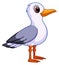 White nordic gull. Cartoon baby bird. Funny animal
