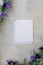 White notecard mockup and lilac on gray wash background flat lay copy space