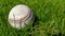 White old baseball ball on fresh green grass with copy space closeup. American sports baseball game