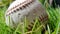 White old baseball ball on fresh green grass with copy space closeup. American sports baseball game