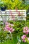 White old bench and pink Alcea rosea flowers