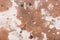 White old peeling weathered outdated paint texture abstract background pattern wooden board surface brown