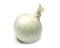 White Onion