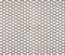 White opaque snake skin with gold edges, long sharp scale. Seamless pattern