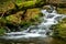 White Opava stream, waterfalls, level and beam, with fallen tree, Jeseniky, Hruby Jesenik, Czech Republic