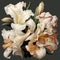 White and orange gladiolus bouquet isolated on gray background