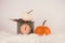 White and orange pumpkin laying on retro green scale decorated with brown leaves and white fur underground