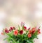 White, orange, red and yellow roses flowers, bouquet, floral arrangement, pink bokeh background, isolated