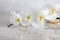 white orchid flowers on a marble table close-up with reflection. Beauty concept of natural cosmetics. Light background