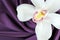 White orchid on purple satin