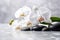 White orchid and spa stones, water drops, white background