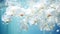 White orchids bouquet under light blue clear water with bubbles and droplets. Banner with copy space. Perfect for poster