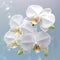 White orchids with drops of water, AI