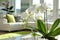 White orchids with light, spacious interior backdrop, serene ambiance.