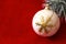 White Ornament in Red Background
