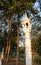 White ornate lamppost in the park. City park in the evening