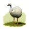 White Ostrich In Green Grass - Detailed Science Fiction Illustration