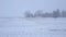 White-Out Snow Storm Blizzard Across Countryside and Farmhouse With Camera Pan.  Heavy Snowing Landscape of Rural Farm Field