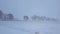 White-Out Snow Storm Blizzard Across Countryside Trees.  Heavy Snowing Landscape