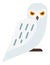 White owl icon. Cute north bird in simple flat style